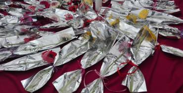 IX Passeigs Saludables 2016