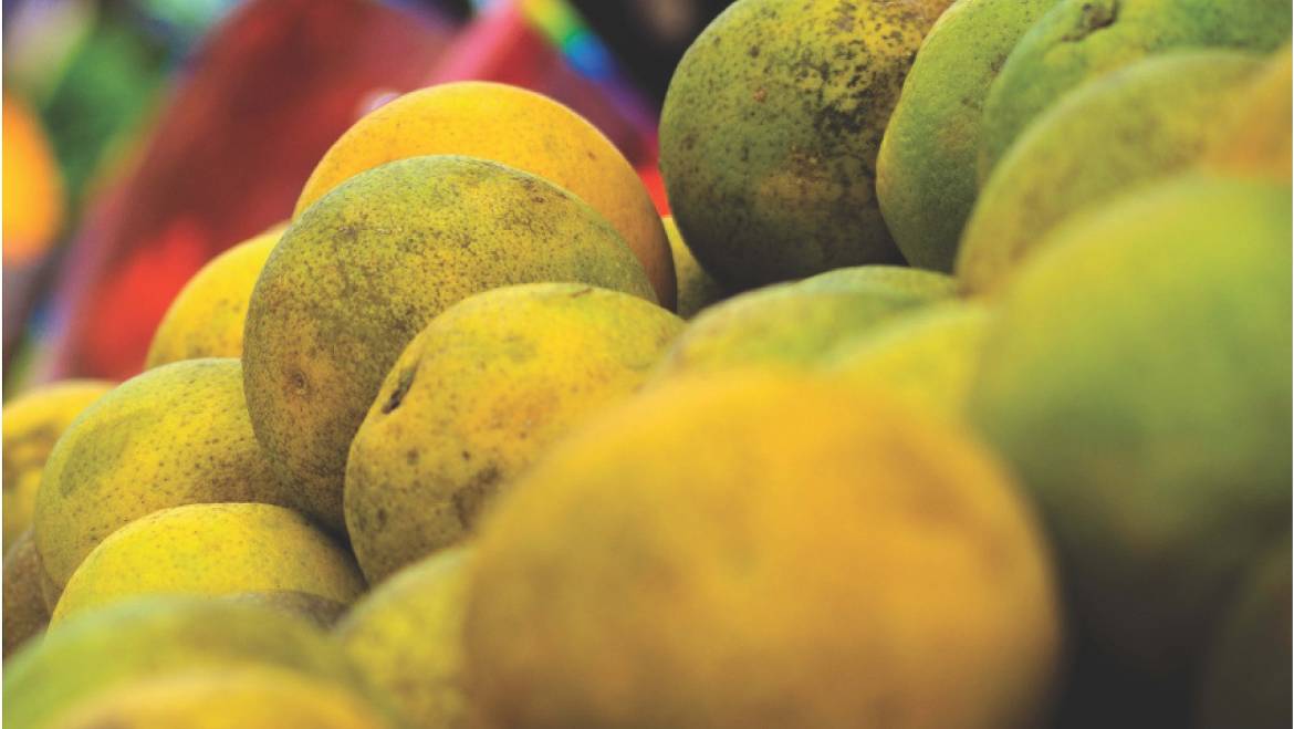 L’Ajuntament posa en marxa el primer “Mercat Ecològic”