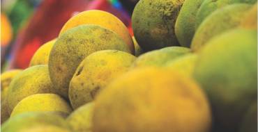 El Ayuntamiento pone en marcha el primer “Mercat Ecològic”