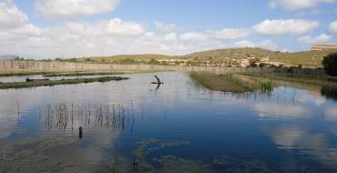 Actividades en el Clot de Galvany para celebrar el Día de la Educación Ambiental