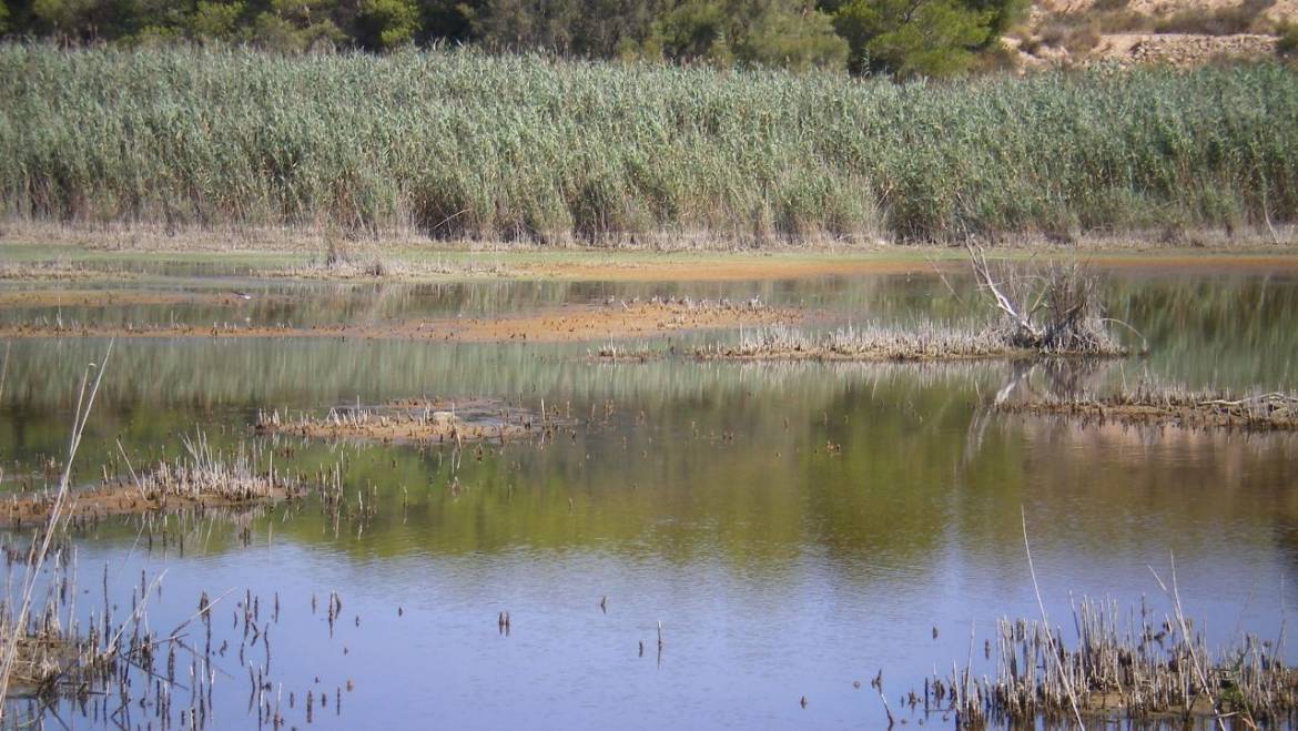 El Ayuntamiento extrema las precauciones para evitar incendios forestales