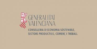 Subvenció pública rebuda per MEVESA, destinada al foment de l’ocupació de persones amb discapacitat o diversitat funcional