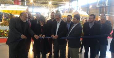 Antonio García: “Viveralia pone en evidencia la importancia del sector viverista en Elche”