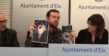 Talados siete árboles enfermos en Altabix