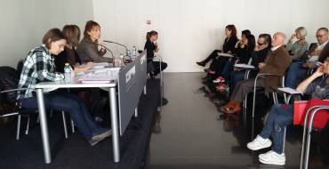 Consejo diversidad funcional  16/02/2017