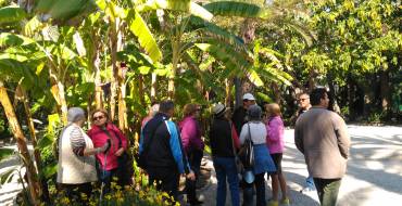 Salida del taller de jardinería en el parque municipal