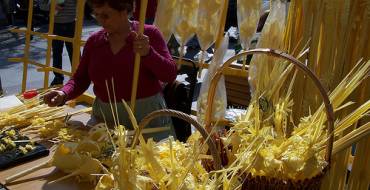 Mercados de palma blanca en Elche