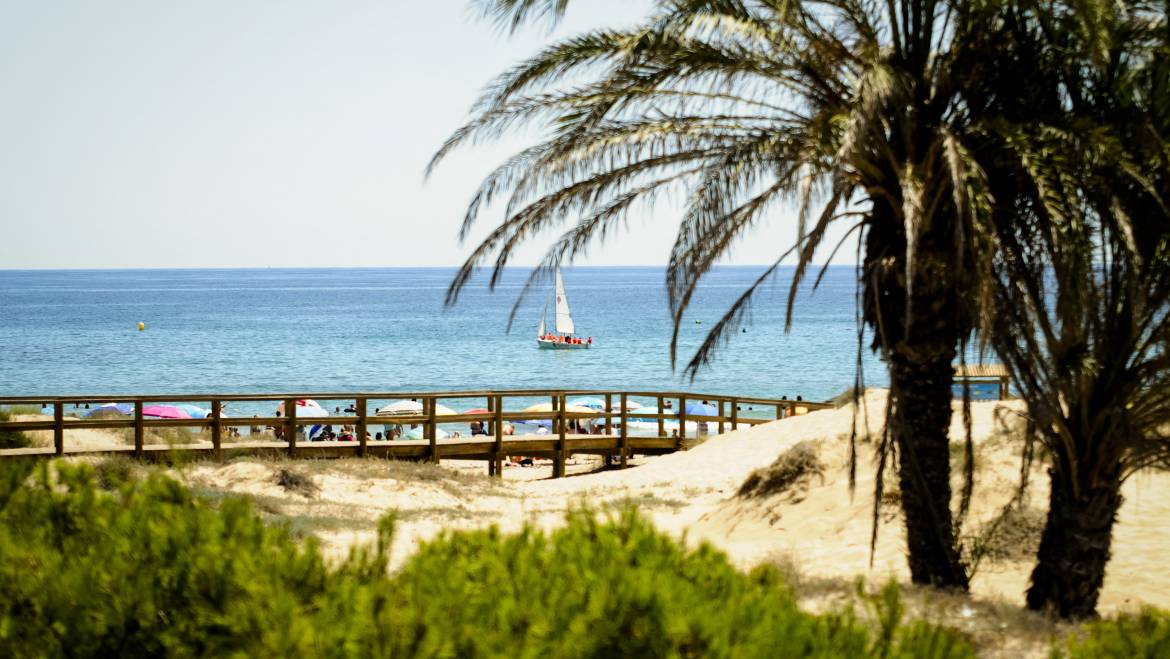 Cinco banderas azules para las playas de Elche