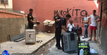 Intervención de gallos de pelea en operativo contra criaderos ilegales