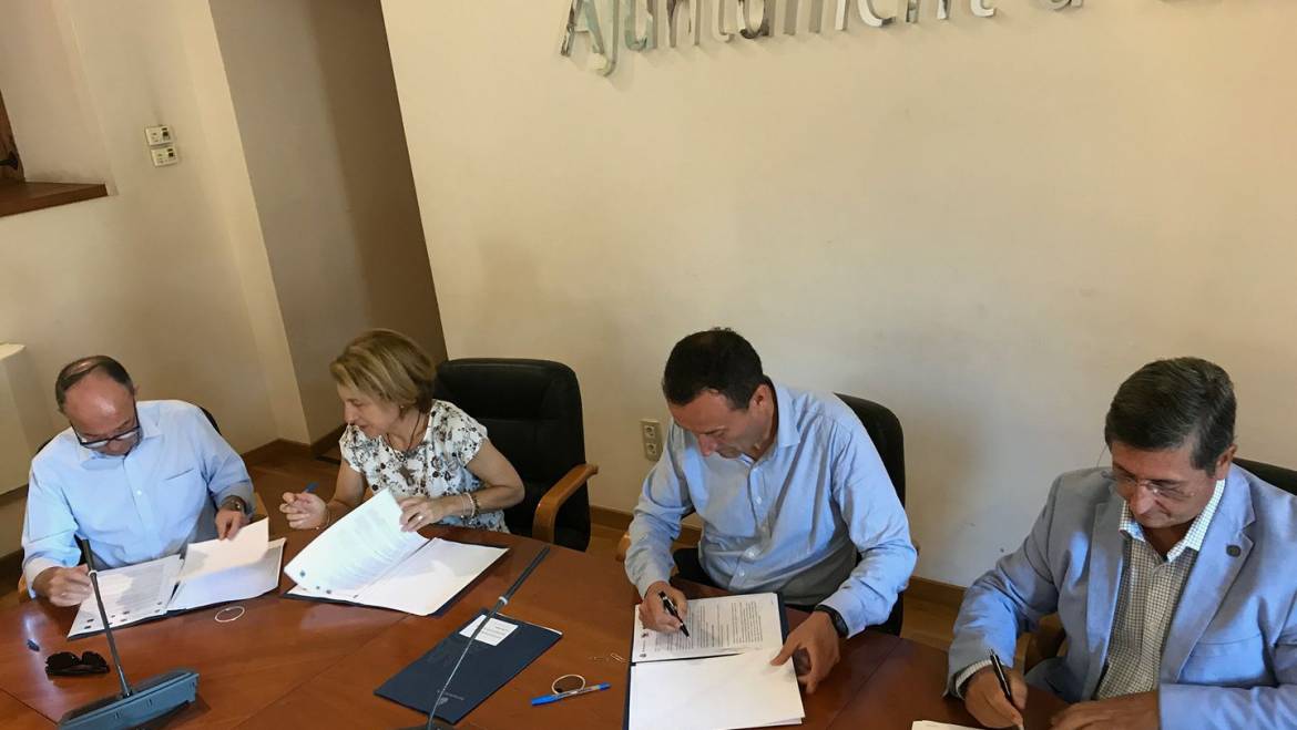 L’Ajuntament acorda amb les tres universitats realitzar un estudi per a impulsar un pla d’igualtat