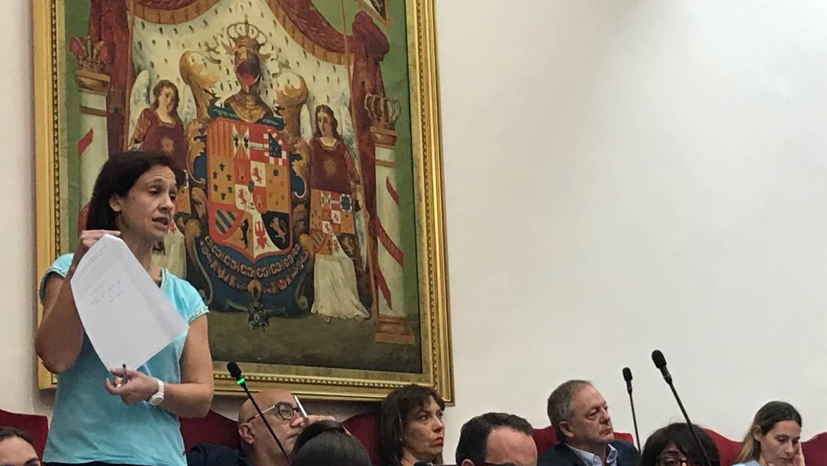 El pleno aprueba la rebaja de los impuestos de Vehículos y Construcciones