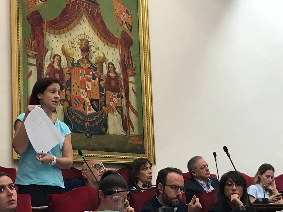 Pleno-ordenanzas-fiscales-Ana-Arabid.jpg