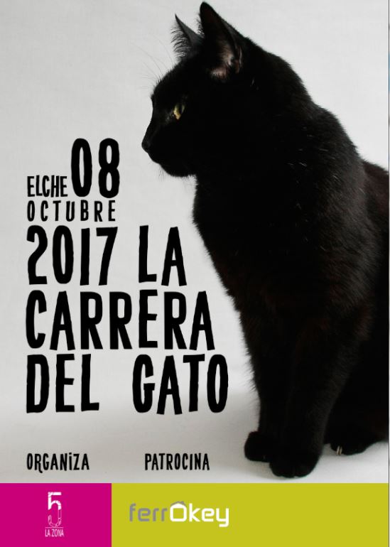 carrera-del-gato-2017.jpg