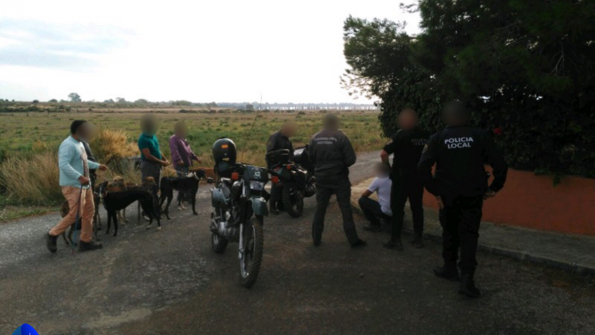 El control sobre las infracciones de caza reduce los requerimientos vecinales