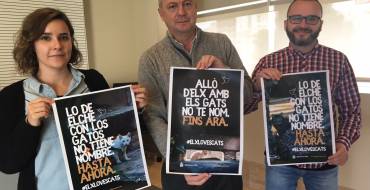 Elx se convierte en la primera ciudad “Street cat friendly” del mundo con la campaña “#Elxlovescats” protagonizada por 4 gatos callejeros de la ciudad