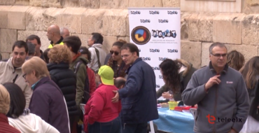 Día de la discapacidad 2016 – Elche se mueve contigo