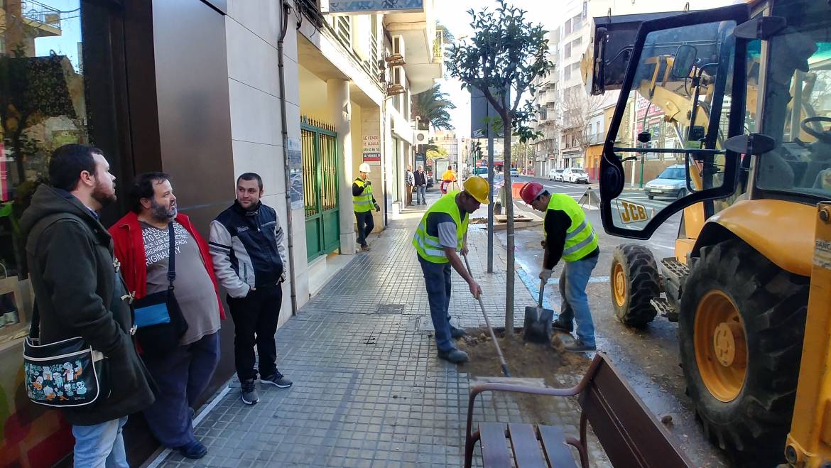 Parques y Jardines visita la actuación de cambio de arbolado en la calle Antonio Machado