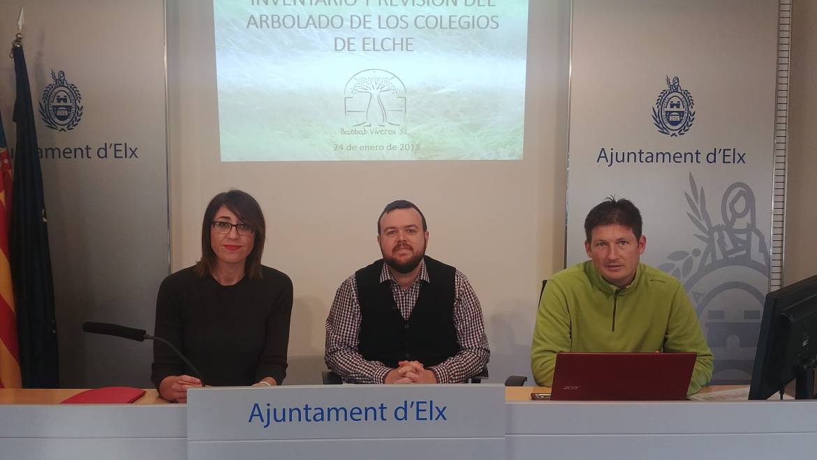 L’Ajuntament estudia i categoritza els prop de 2.000 arbres dels col·legis d’Elx
