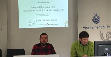 Cerco al picudo en Elche