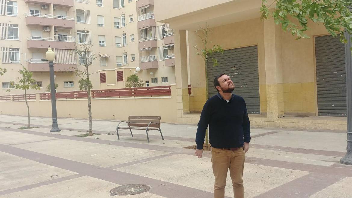 Parques y Jardines renueva el arbolado de Plaza de Castilla