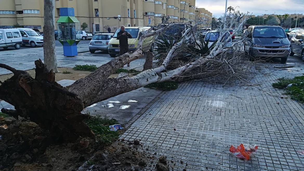 Incidencias por rachas de viento durante la noche y hasta primeras horas de a mañana