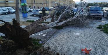 Incidencias por rachas de viento durante la noche y hasta primeras horas de a mañana