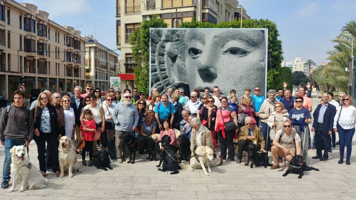 Elx es converteix en seu valenciana del Dia Internacional del Gos pigall