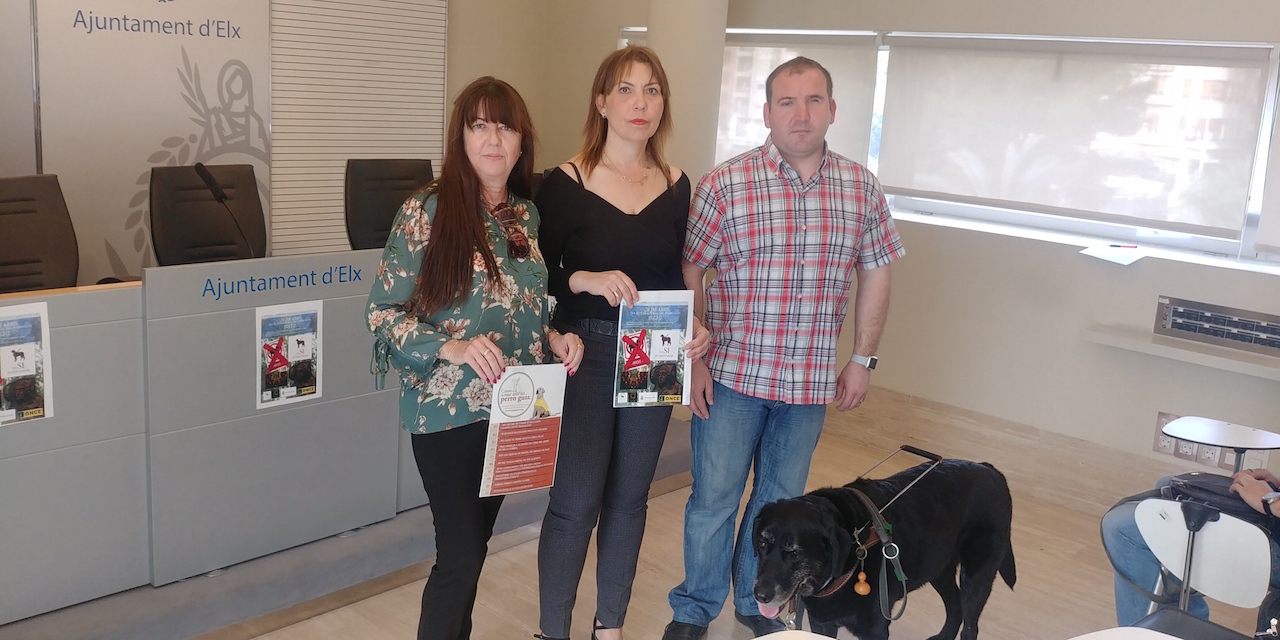 Elche será sede de la Comunitat Valenciana en el Día Internacional del Perro Guía este fin de semana
