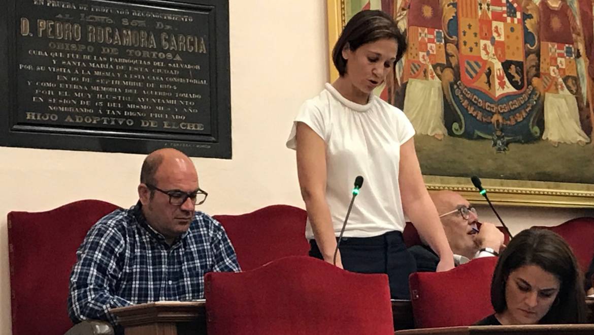 El Pleno aprueba la bonificación del 50% del recibo del IBI a la Institución Ferial Alicantina