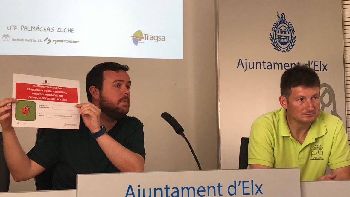 La apuesta del Ayuntamiento por la lucha biológica contra las plagas el Palmeral también da sus frutos