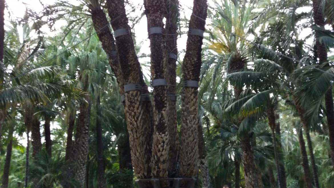 Visitelche acoge un viaje de prensa para promocionar la oferta turística ilicitana en el mercado emisor francés