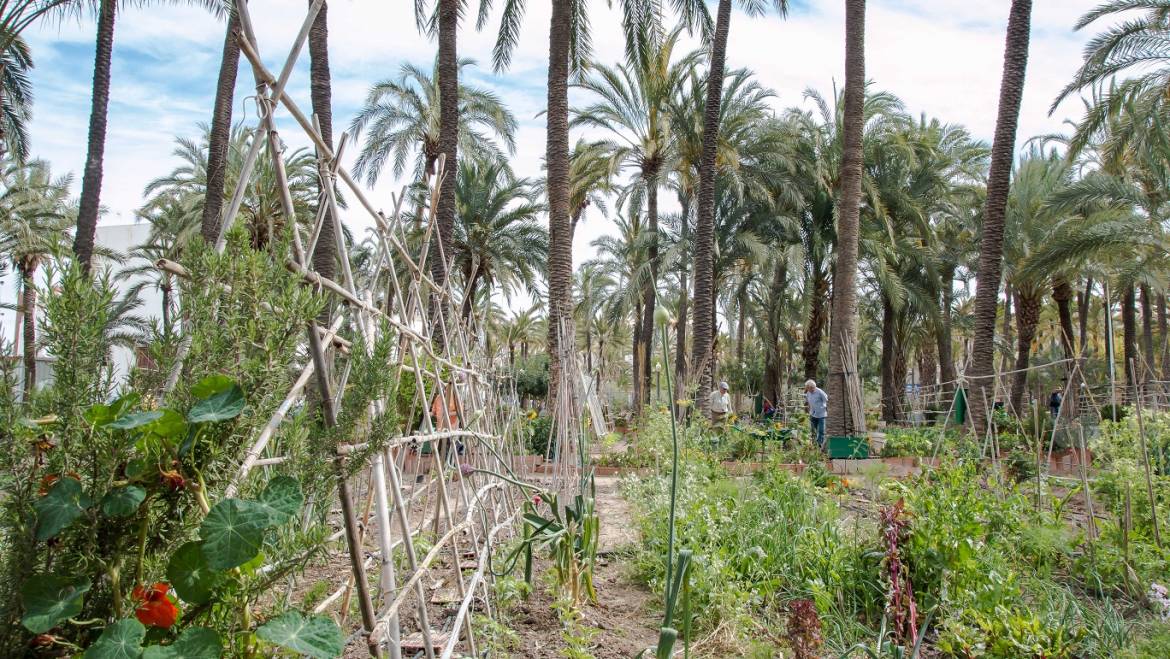 La Comisión de Explotación del Trasvase Tajo-Segura ha autorizado el desembalse de agua