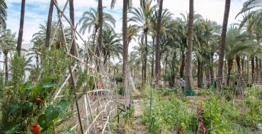 La Comisión de Explotación del Trasvase Tajo-Segura ha autorizado el desembalse de agua
