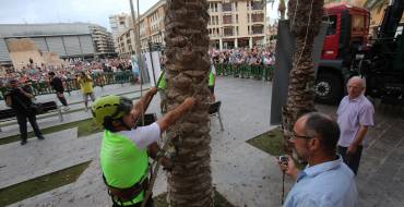El concurso de trepa de palmera celebra su quinta edición