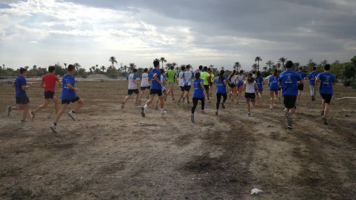 Cerca de 1.200 escolares participan en el Cross Escolar celebrado en el yacimiento arqueológico de L’Alcudia