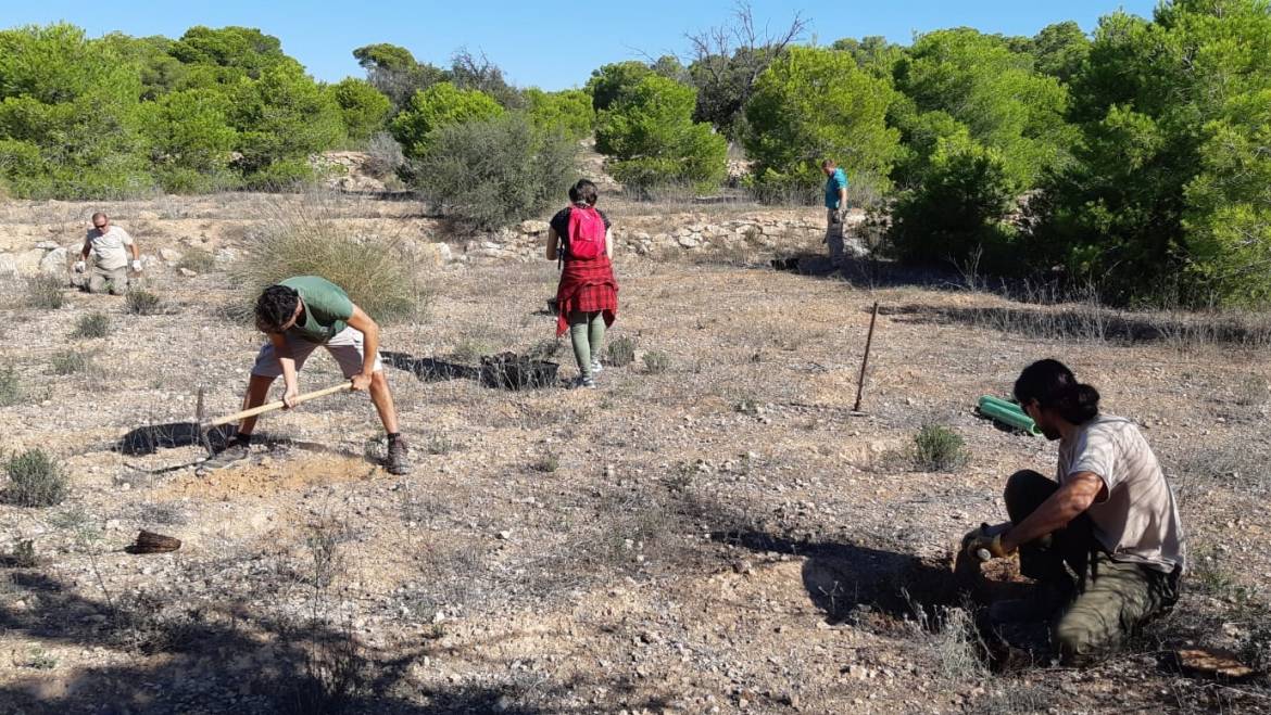 El Ayuntamiento y Conselleria colaboran en la introducción de especies de flora catalogada en el Clot de Galvany