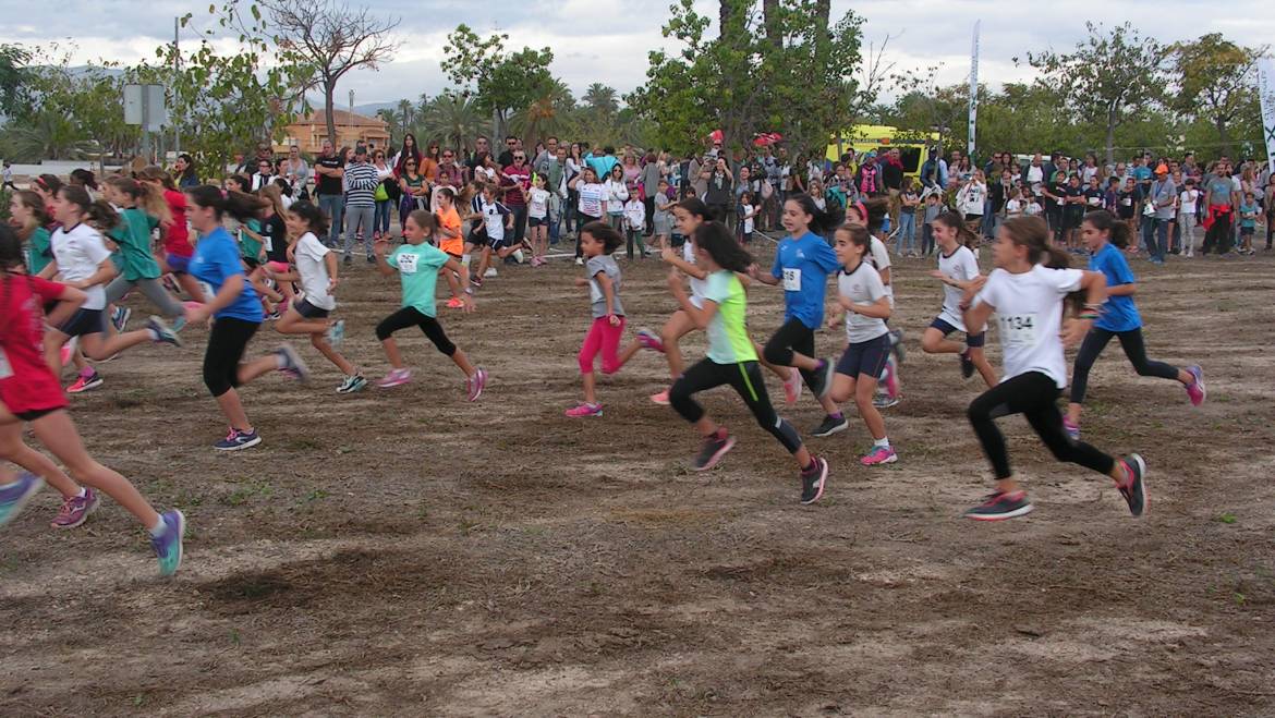 Resultats XXXV Cross Escolar