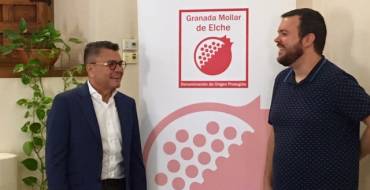 El Ayuntamiento vuelve a incrementar la ayuda para la promoción de la Granada Mollar hasta los 30.000 euros