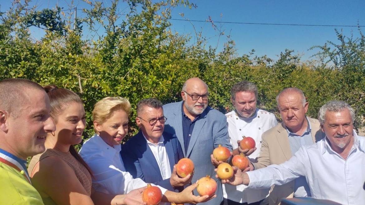 Diversos membres de la corporació municipal participen en el tall de la primera magrana mollar de la temporada