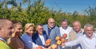 Varios miembros de la corporación municipal participan en el corte de la primera granada mollar de la temporada