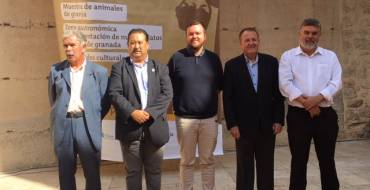 La Fireta del Camp d’Elx sigue creciendo