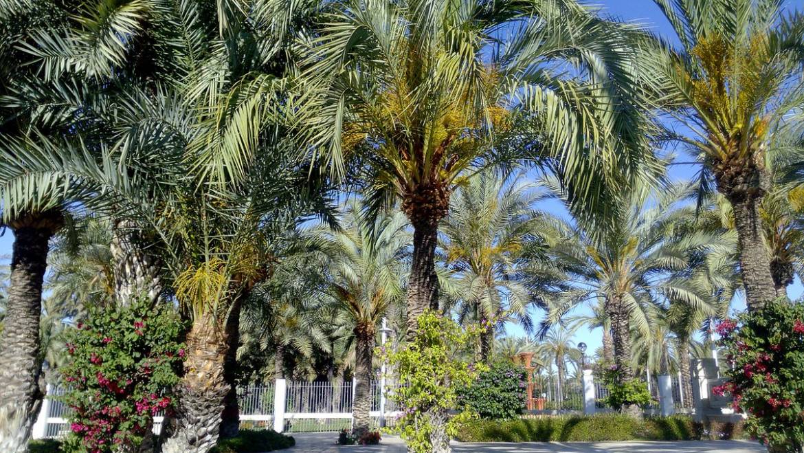 Elche suma 46 distintivos de calidad turística SICTED