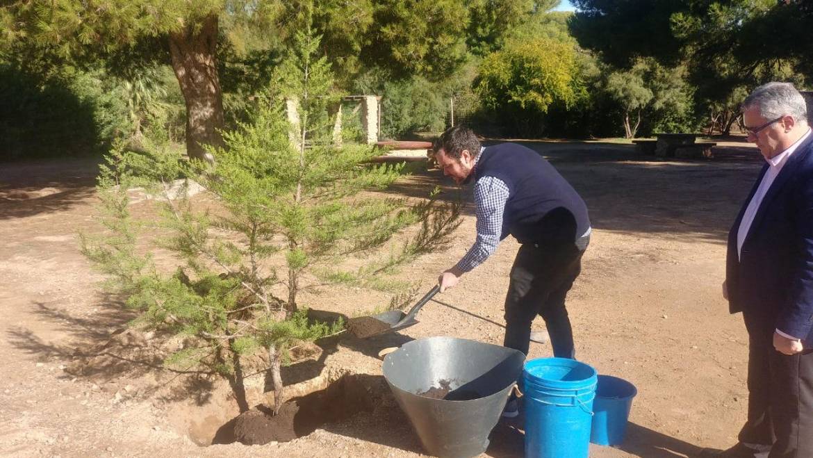 Comencen les labors de revegetació del Clot de Galvany