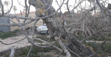 Robo frustrado en casa de campo y vehículo recuperado tras sendas llamadas