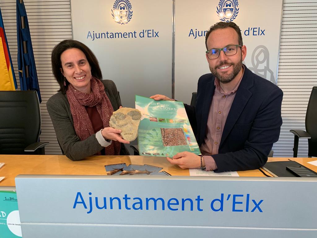 Elx es converteix en un gran aparador paleontològic per a afavorir la dinamització comercial