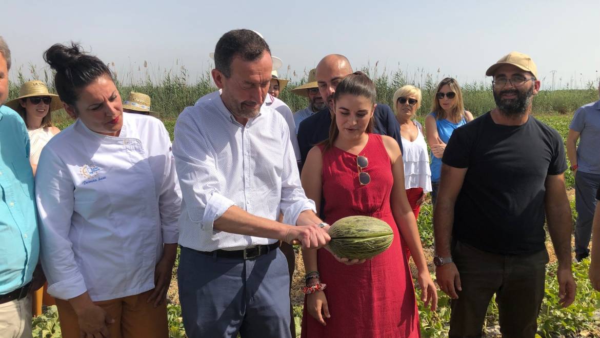 La producción de melón de Carrizales alcanzará esta temporada los 400.000 kilos