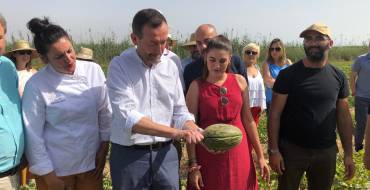 La producció de meló de Carrissars arribarà aquesta temporada als 400.000 quilos