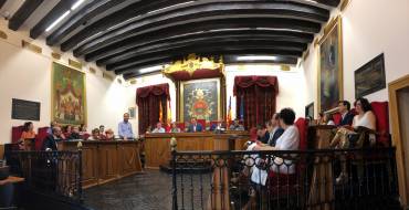 El ple aprova l’organització del nou Ajuntament d’Elx
