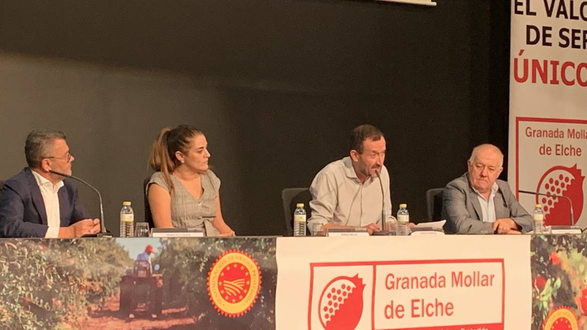 Carlos González: “El sello de Denominación de Origen Protegida significa que la Granada Mollar es un producto de calidad, genuino y excelente”