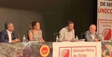 Carlos González: “El sello de Denominación de Origen Protegida significa que la Granada Mollar es un producto de calidad, genuino y excelente”